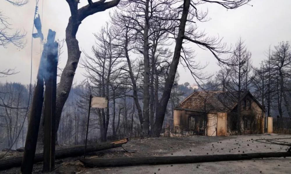 Συνεχίζονται οι έλεγχοι κτιρίων στις πυρόπληκτες περιοχές: Επικίνδυνες 360 κατοικίες